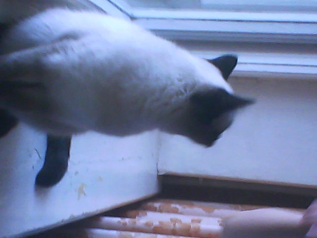 Мария Ткачёва | Казань