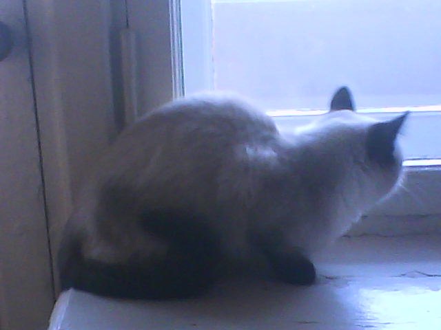 Мария Ткачёва | Казань