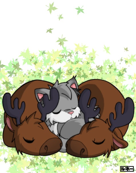 №49, Алиса Кудрявцева, 37 лет, Волгоград №49, Алиса Кудрявцева, 37 лет, Волгоград