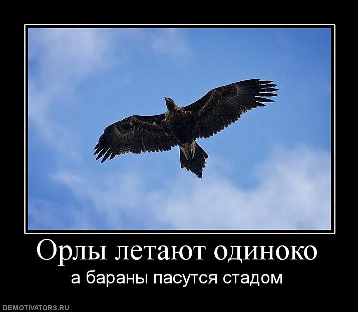 Ян Www | Москва