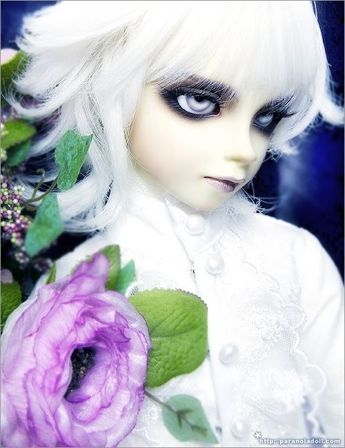 Saimon Rider | Boston