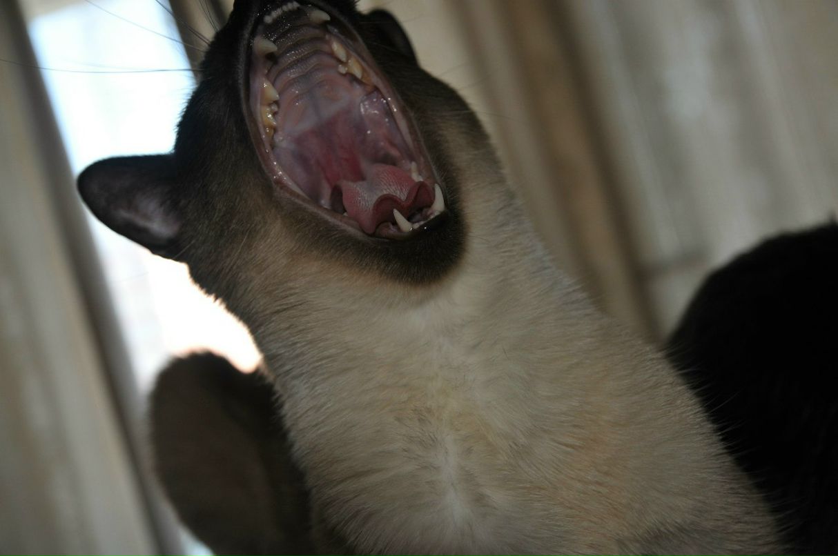 Алексей Бычков | Санкт-Петербург