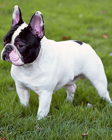 №3, Vadim Nesterov, 46 лет, Санкт-Петербург №3, Vadim Nesterov, 46 лет, Санкт-Петербург