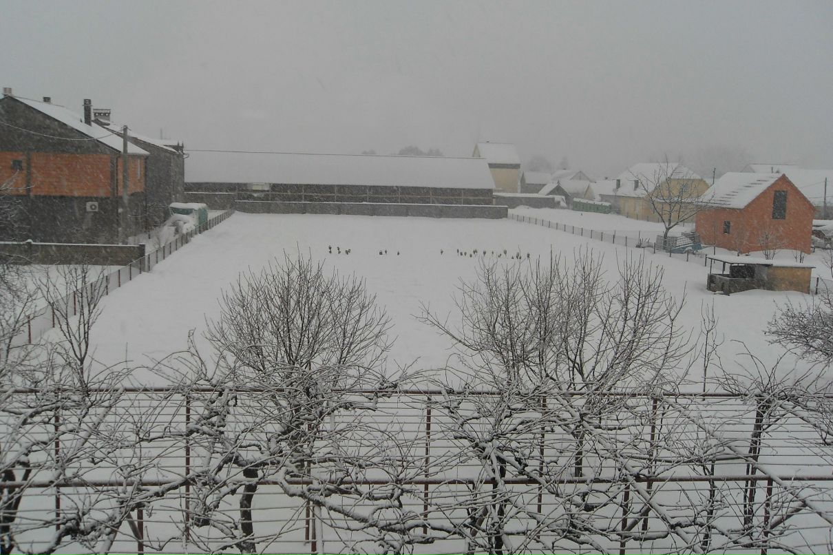 Наталья Томашевич-Хохлова | Nikšić