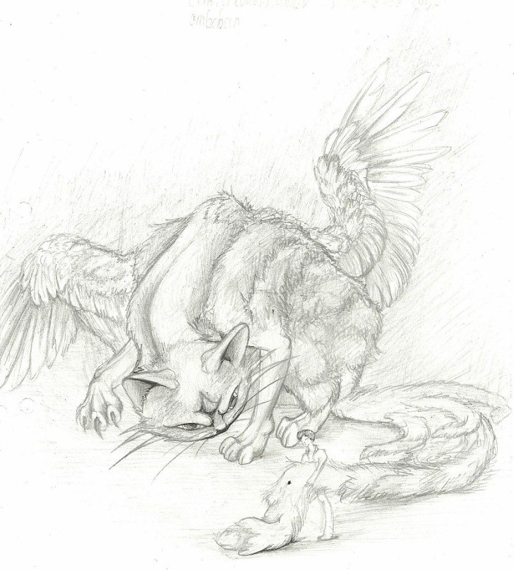 Алиса Усова | Архангельск