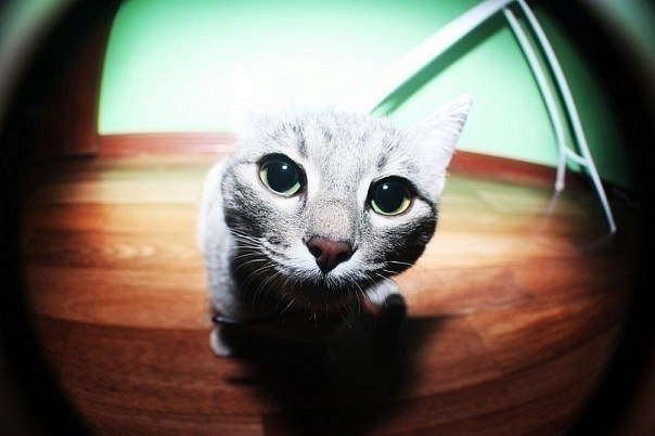 Айта Ангирова | Элиста