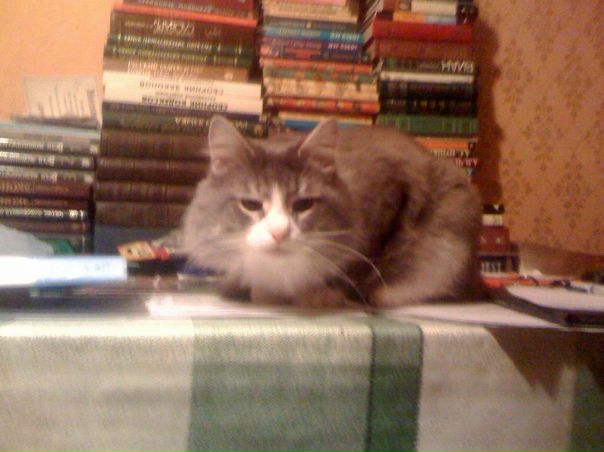 邃1, Rooney Smith 邃1, Rooney Smith