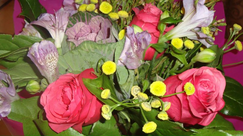 Анастасия Городетская | Видное