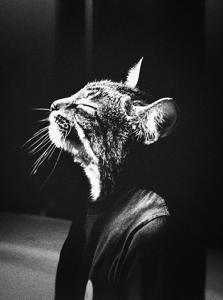 Эмиль Абдрафиков | Санкт-Петербург