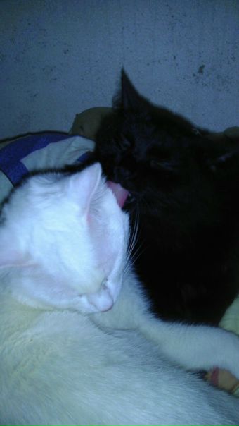 №39, Дима Куколев, 37 лет, Вологда №39, Дима Куколев, 37 лет, Вологда