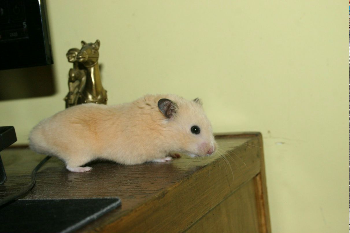 Алексей Шнуров | 