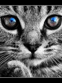 №108, Оленька Уразаева, Челябинск №108, Оленька Уразаева, Челябинск