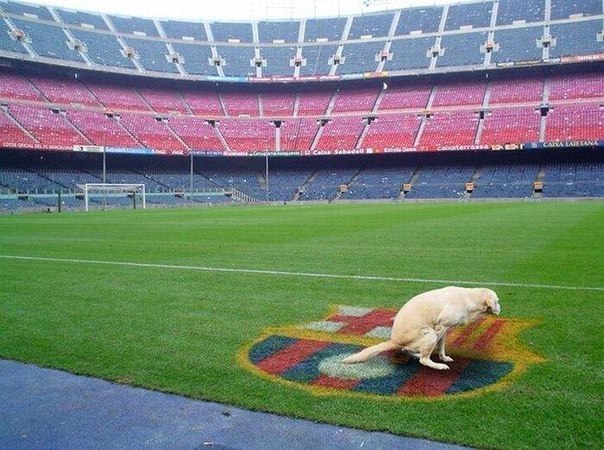 Ришат Ахмети | Уфа