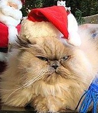 №11, Алексей Лельчук, 39 лет, Минск №11, Алексей Лельчук, 39 лет, Минск