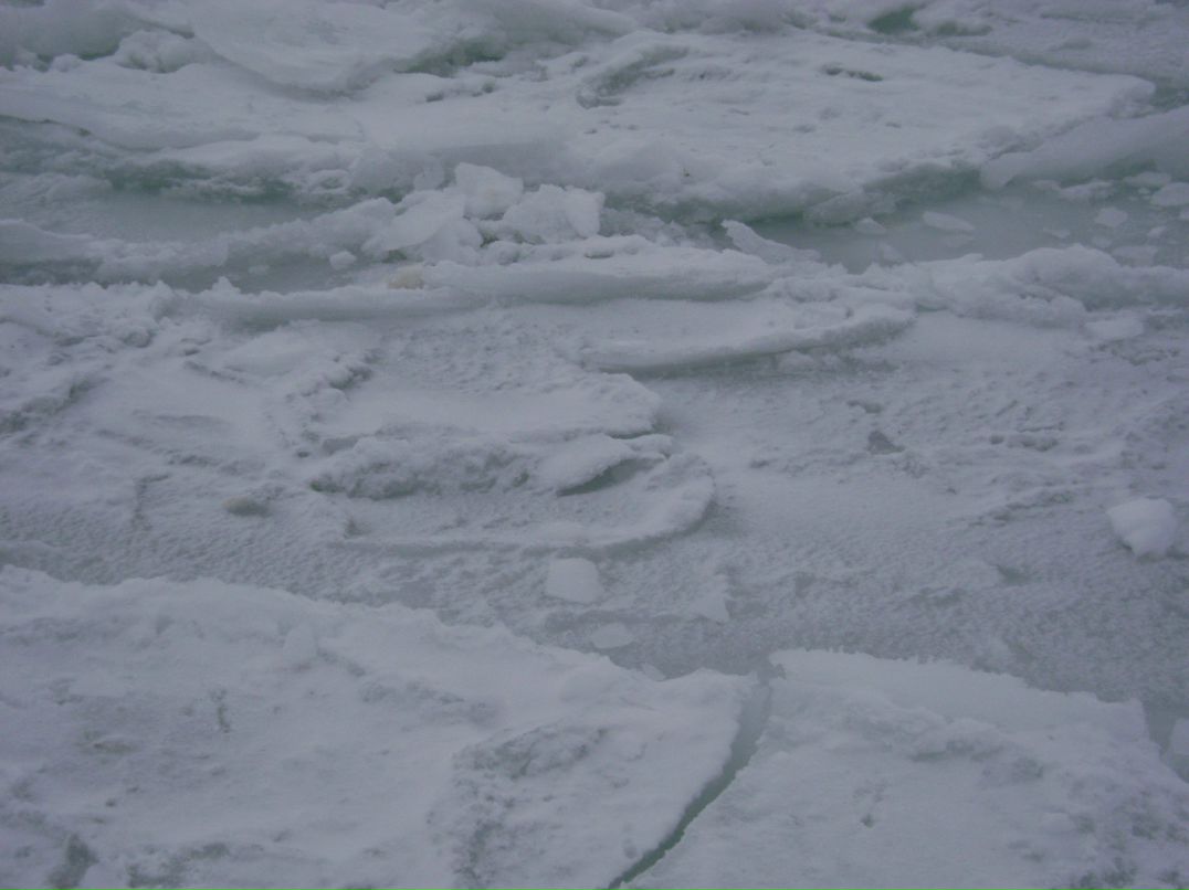 Валентина Мотрук | Одесса