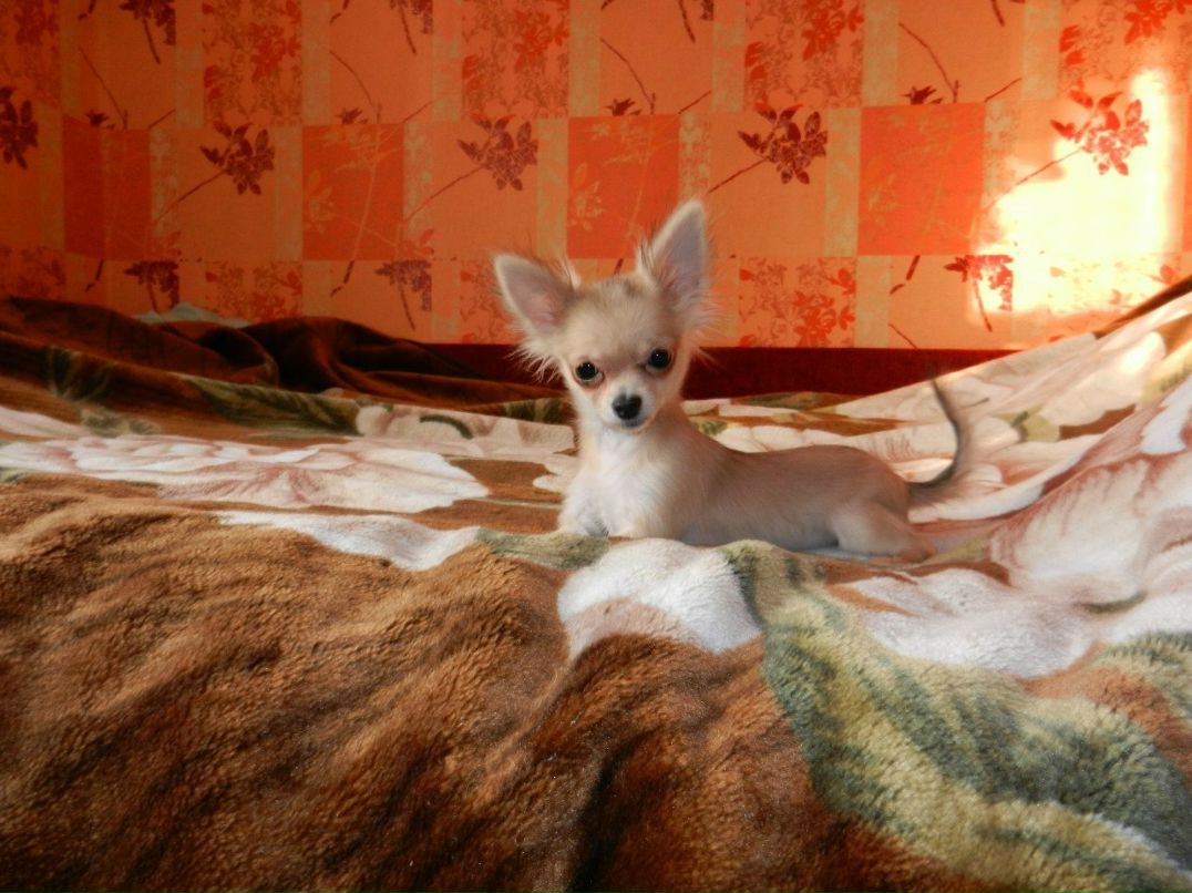 Анастасия Курина Весна!!! | Москва