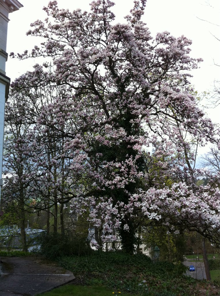 Inna Ilina | Санкт-Петербург