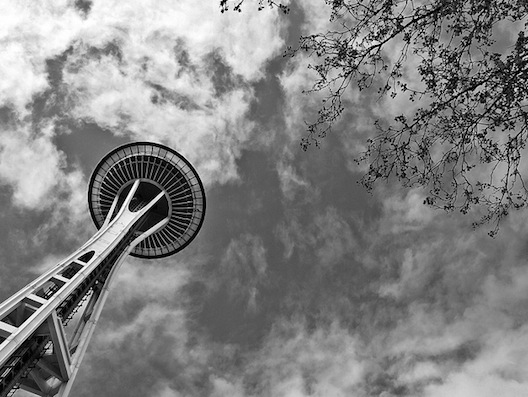 №59, Cayce Pollard, 41 год, Львов №59, Cayce Pollard, 41 год, Львов