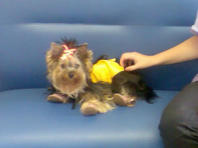 Ольга Герасимова | Санкт-Петербург