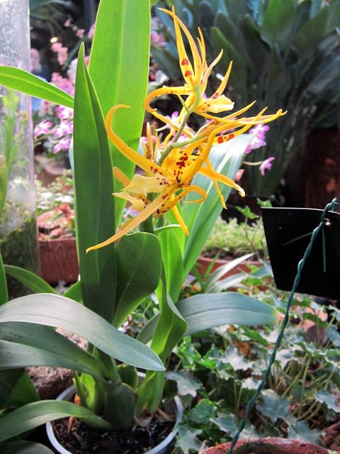 Анастасия Цветкова | Москва