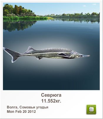 Александр Кириллов | Волга