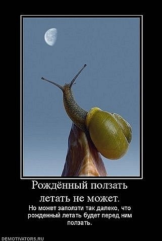 №23, Руслан Черкашин, 36 лет, Москва №23, Руслан Черкашин, 36 лет, Москва