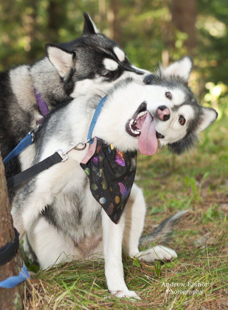 Людмила Салига | Ивано-Франковск