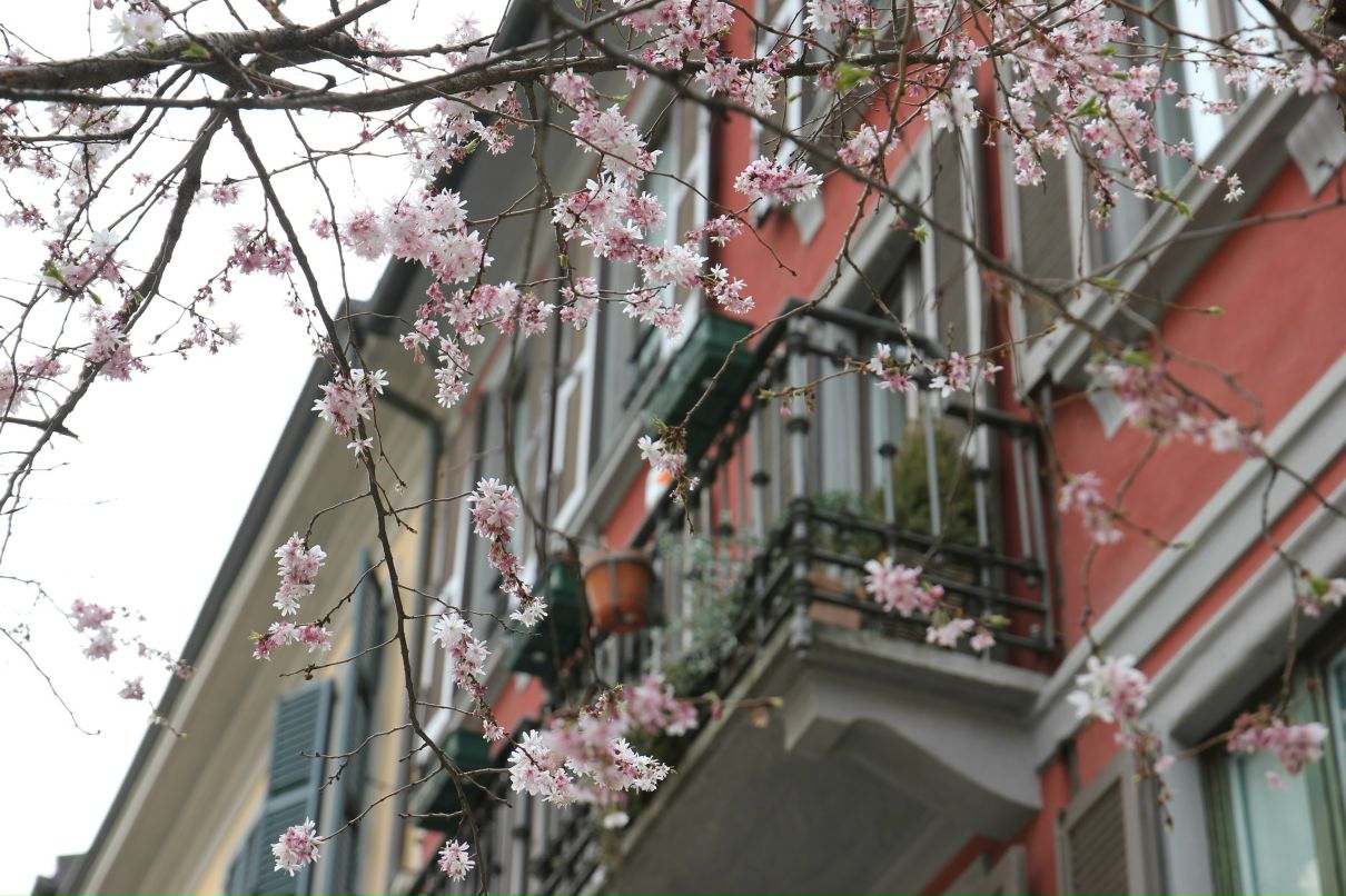 Елена Димченко | Санкт-Петербург