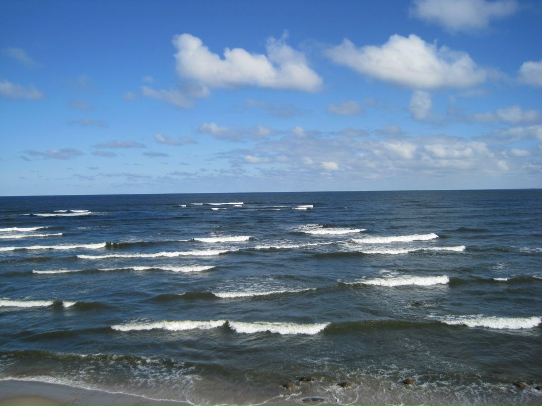 Руслан Аланур | Калининград