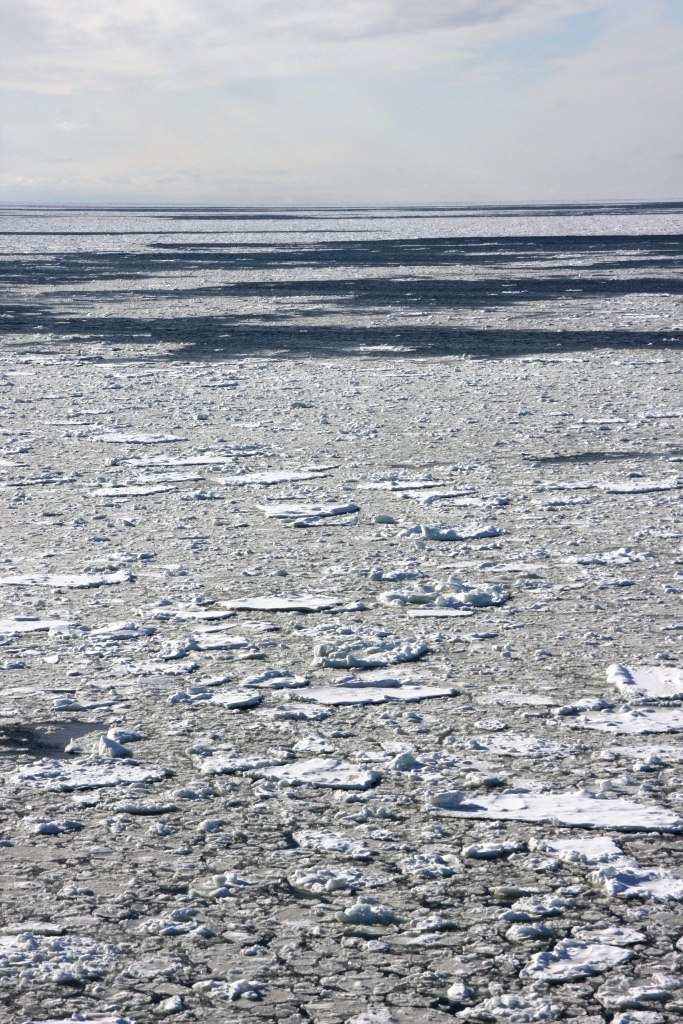 Стася Молчанинова | Москва