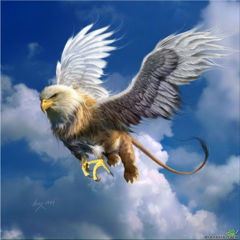 Константин Ефимов | Санкт-Петербург