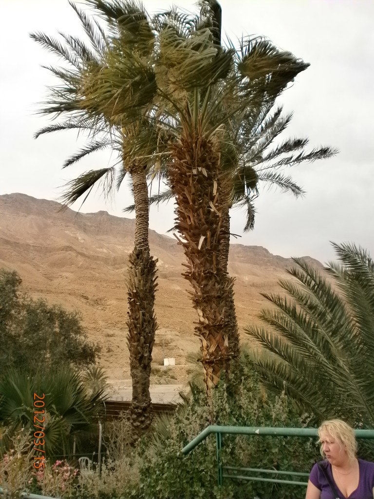 Татьяна Кириличева | Санкт-Петербург