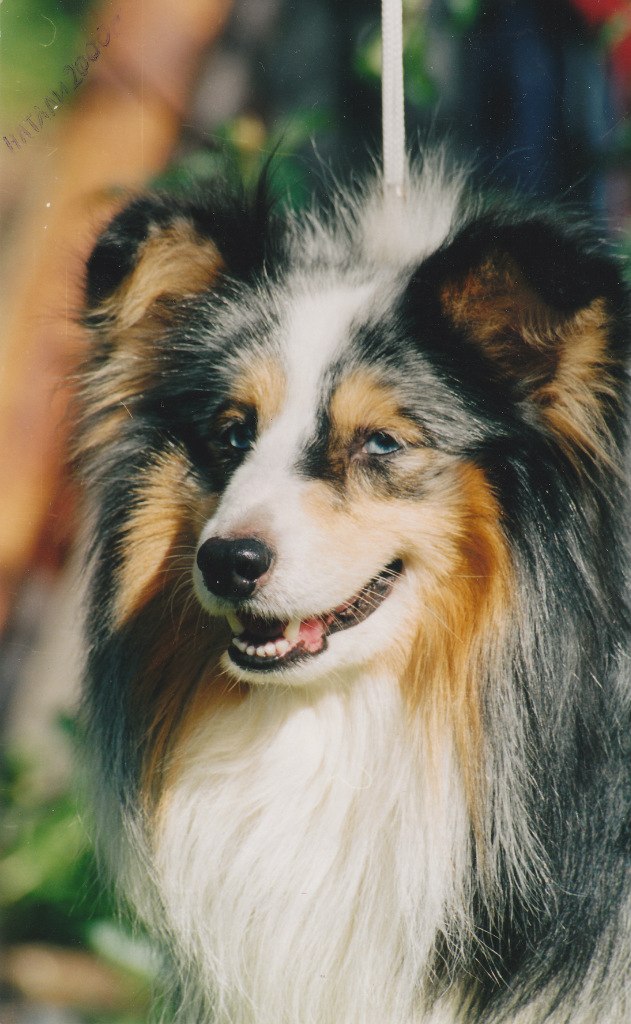 Венера Евдаева | 