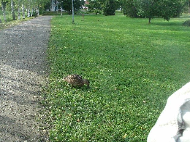 Ольга Карташова Павловна | Санкт-Петербург