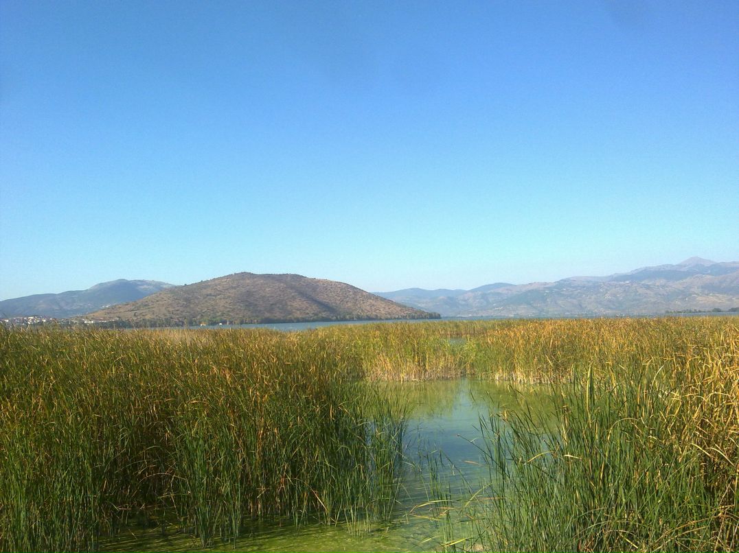 Анна Турчакова | Москва