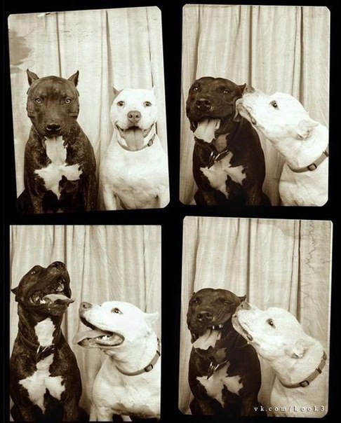 Tony Lime ..plain_lazy.. | London