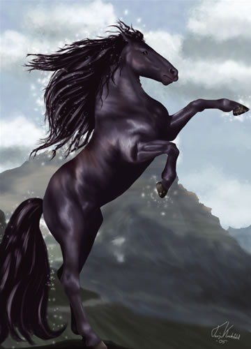 Тома Быховец | Череповец