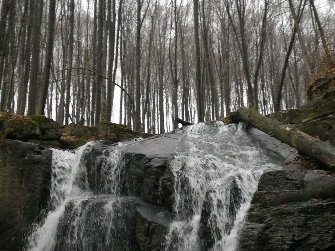 Анна Гармаш | Одесса