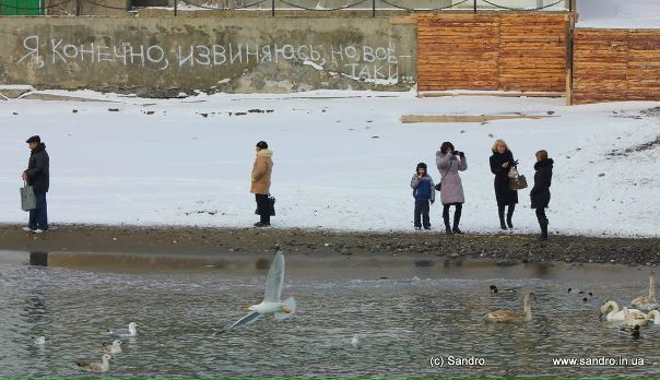 №26, Александр Кирьяков, Судак №26, Александр Кирьяков, Судак