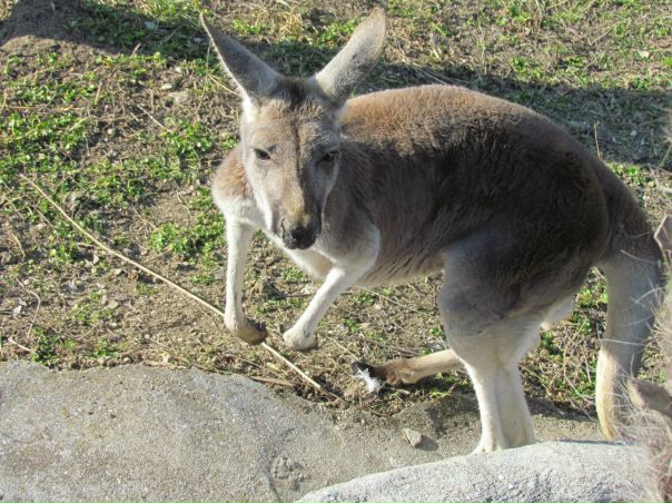 №14, Александр Каркоцкий, 43 года, Миргород №14, Александр Каркоцкий, 43 года, Миргород