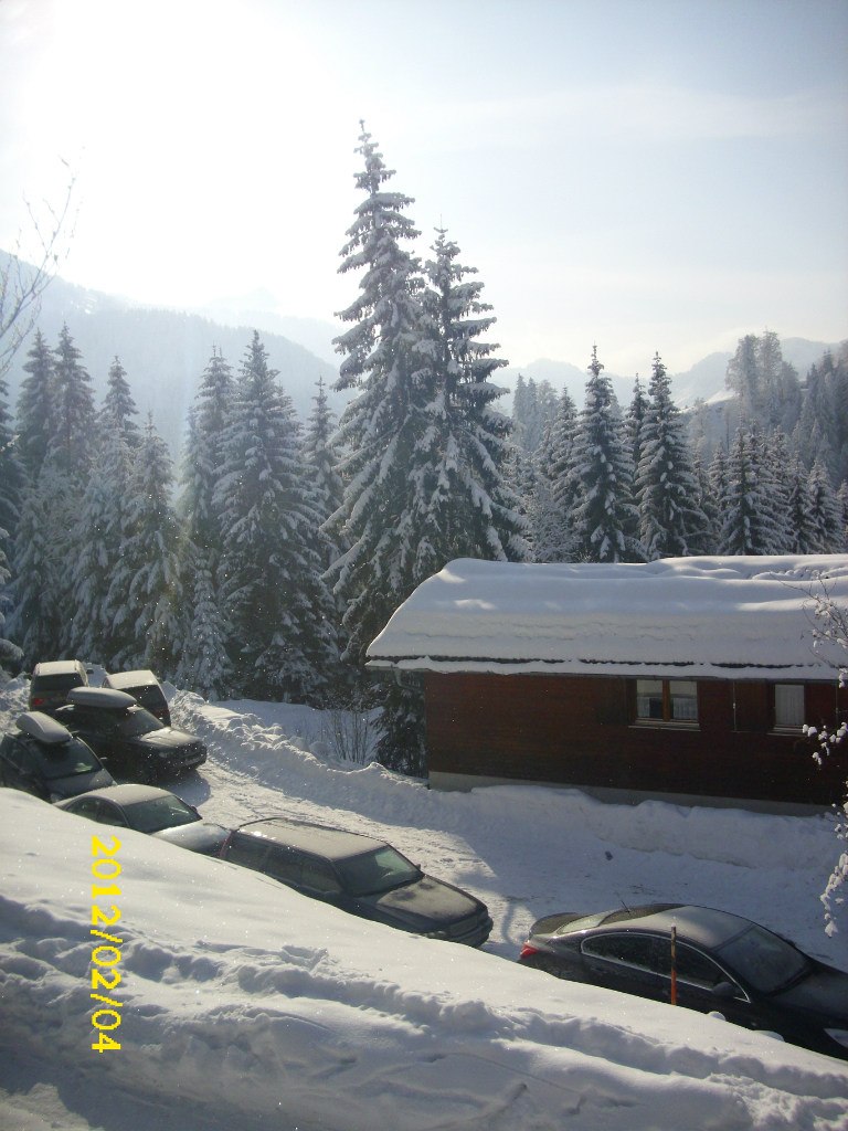 Елена Китова | Stuttgart