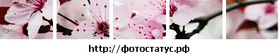 №23, Марина Ляшенко, 33 года, Глухов №23, Марина Ляшенко, 33 года, Глухов