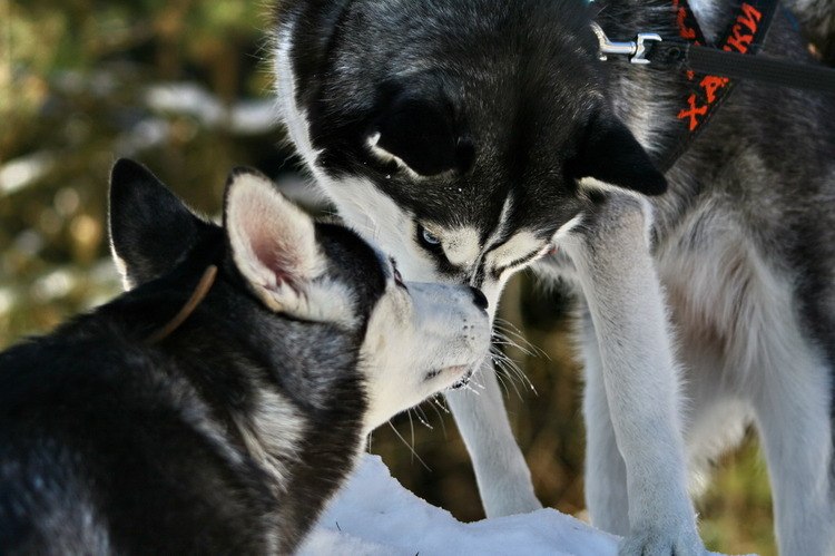 Екатерина Сушкова | Минск