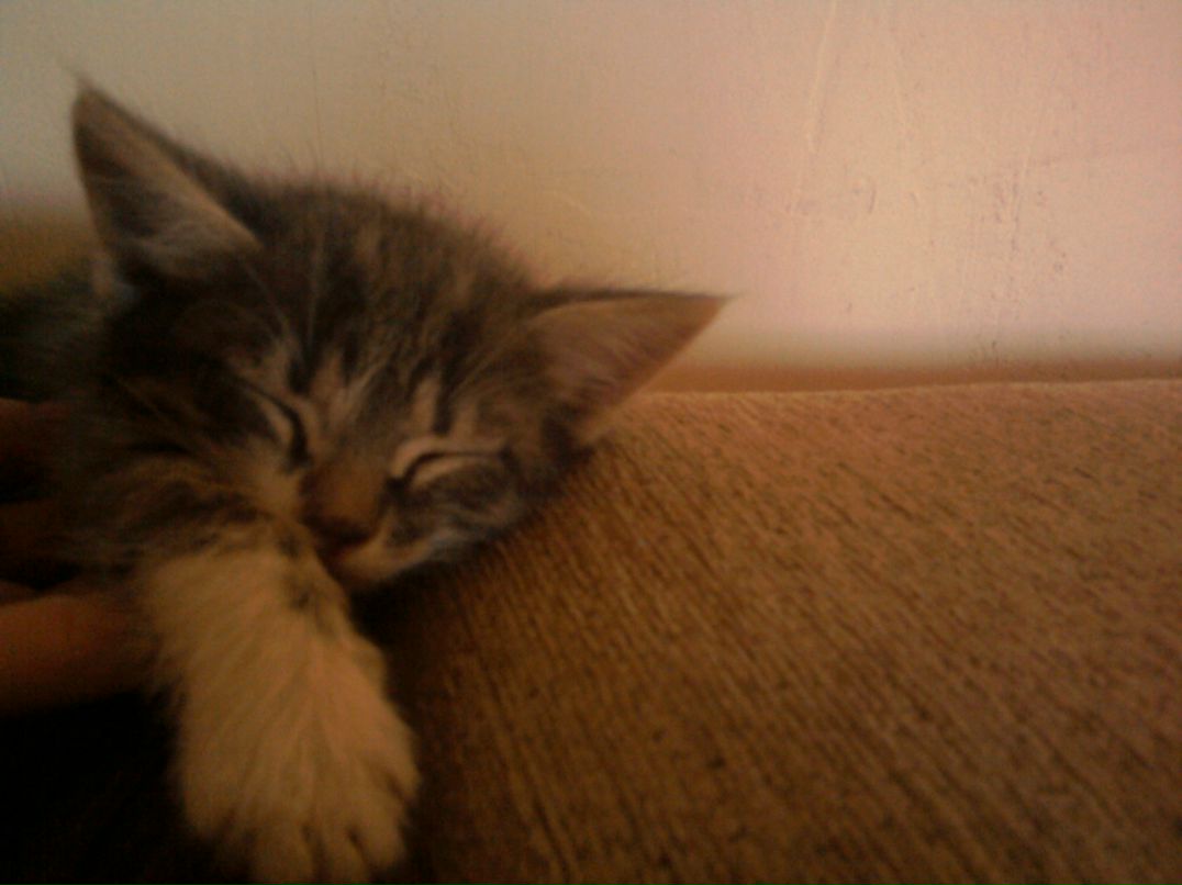 Лёха Гилинский | Челябинск