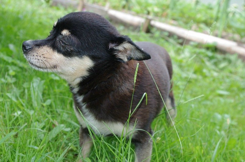 Анна Аносова Александровна | Москва