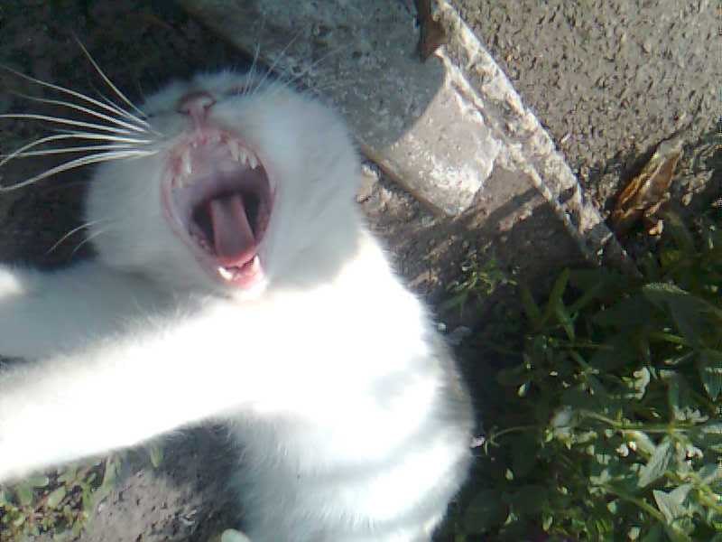 Дима Богомолов | Одесса