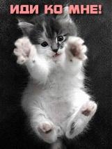 Виктор Подмарев | Москва