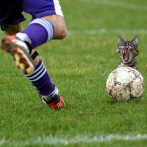 Дмитрий Кашлев | Москва