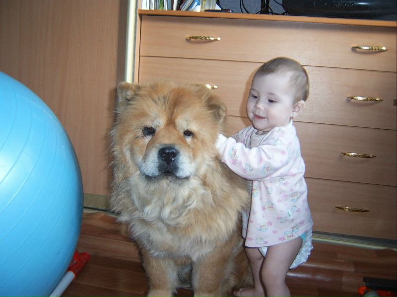 Паша Орлов | Уфа