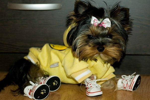 Мариша Маринина ***МАЛИНКА*** | Санкт-Петербург